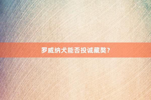 罗威纳犬能否投诚藏獒?